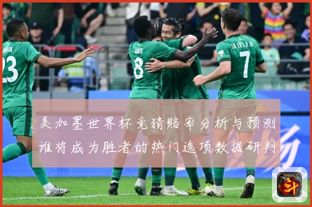 美加墨世界杯竞猜赔率分析与预测谁将成为胜者的热门选项数据研判