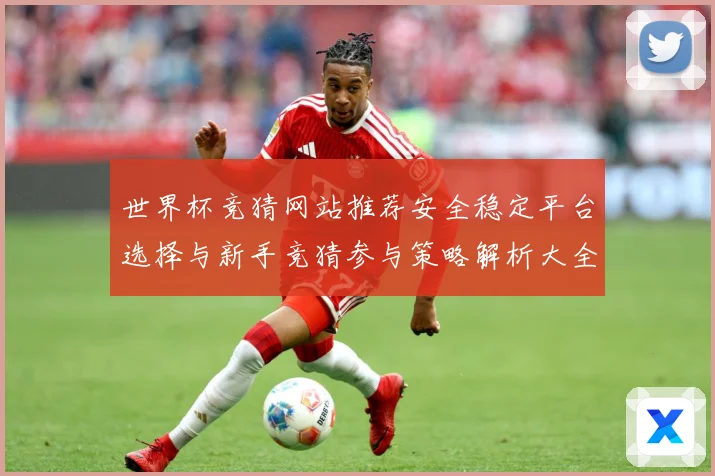 世界杯竞猜网站推荐安全稳定平台选择与新手竞猜参与策略解析大全数据研判