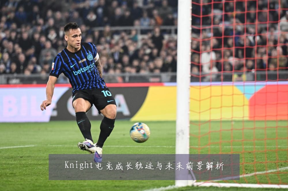 Knight电竞成长轨迹与未来前景解析