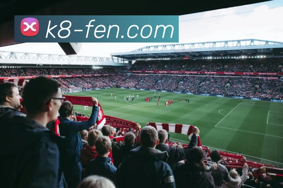 K8凯发最新动态与全面攻略解析让你轻松掌握娱乐玩法